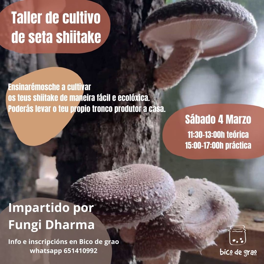 Taller De Cultivo De Seta Shiitake Viva Lugo