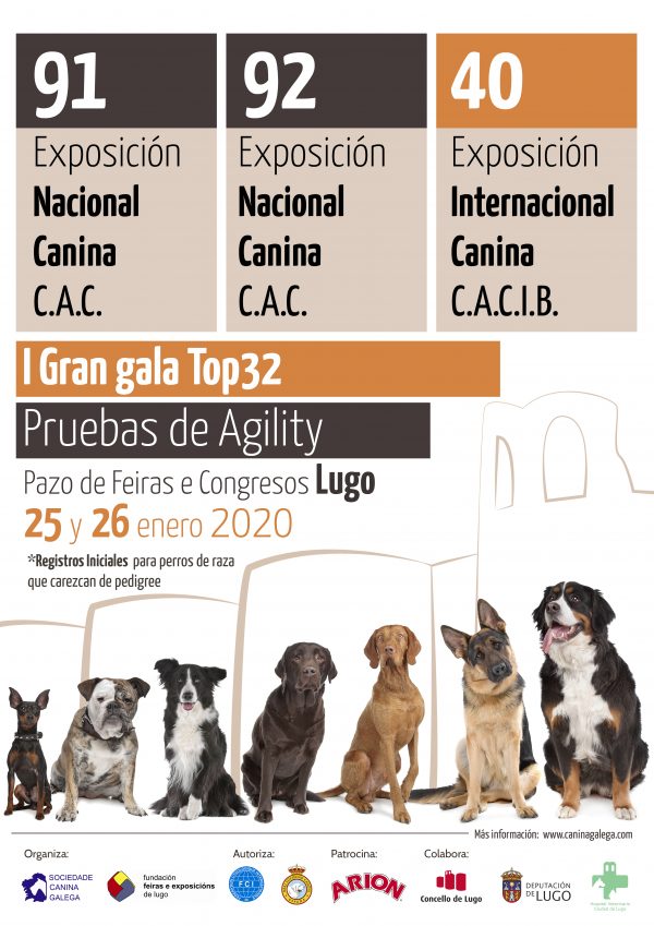Cartel Exposición canina y pruebas de agility en Lugo