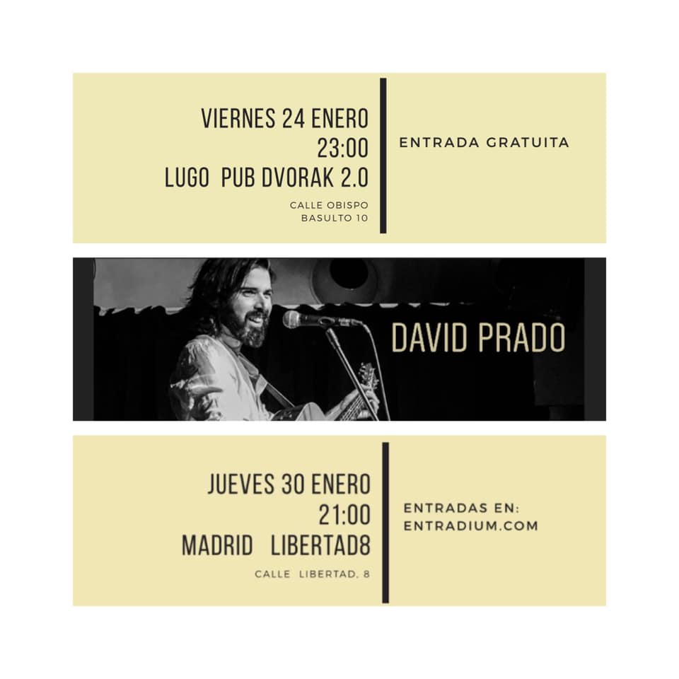 Cartel del Concierto de David Prado en el Pub Dvorak 2.0