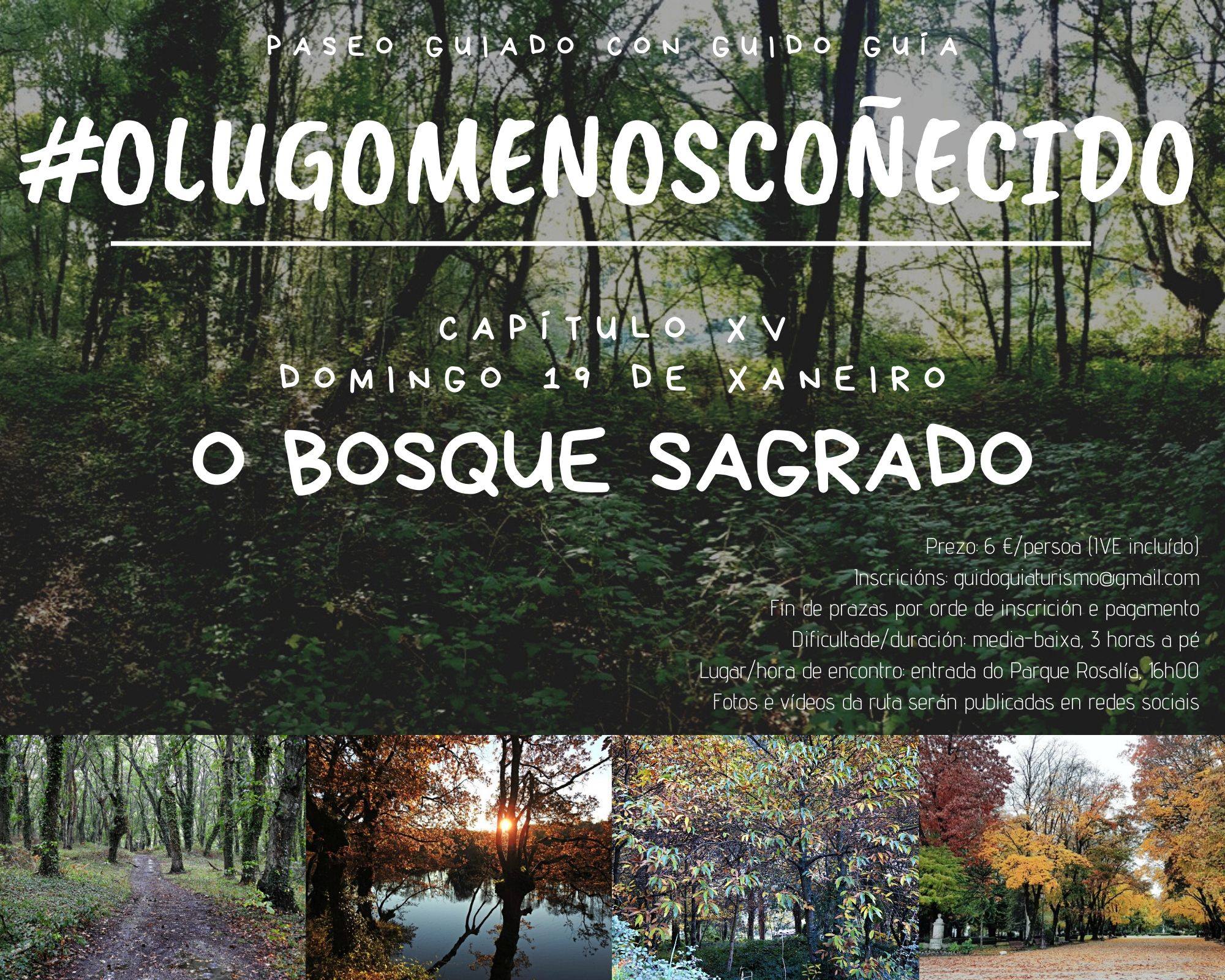 Cartel de XV Paseo guiado polo Lugo menos coñecido #OBosqueSagrado