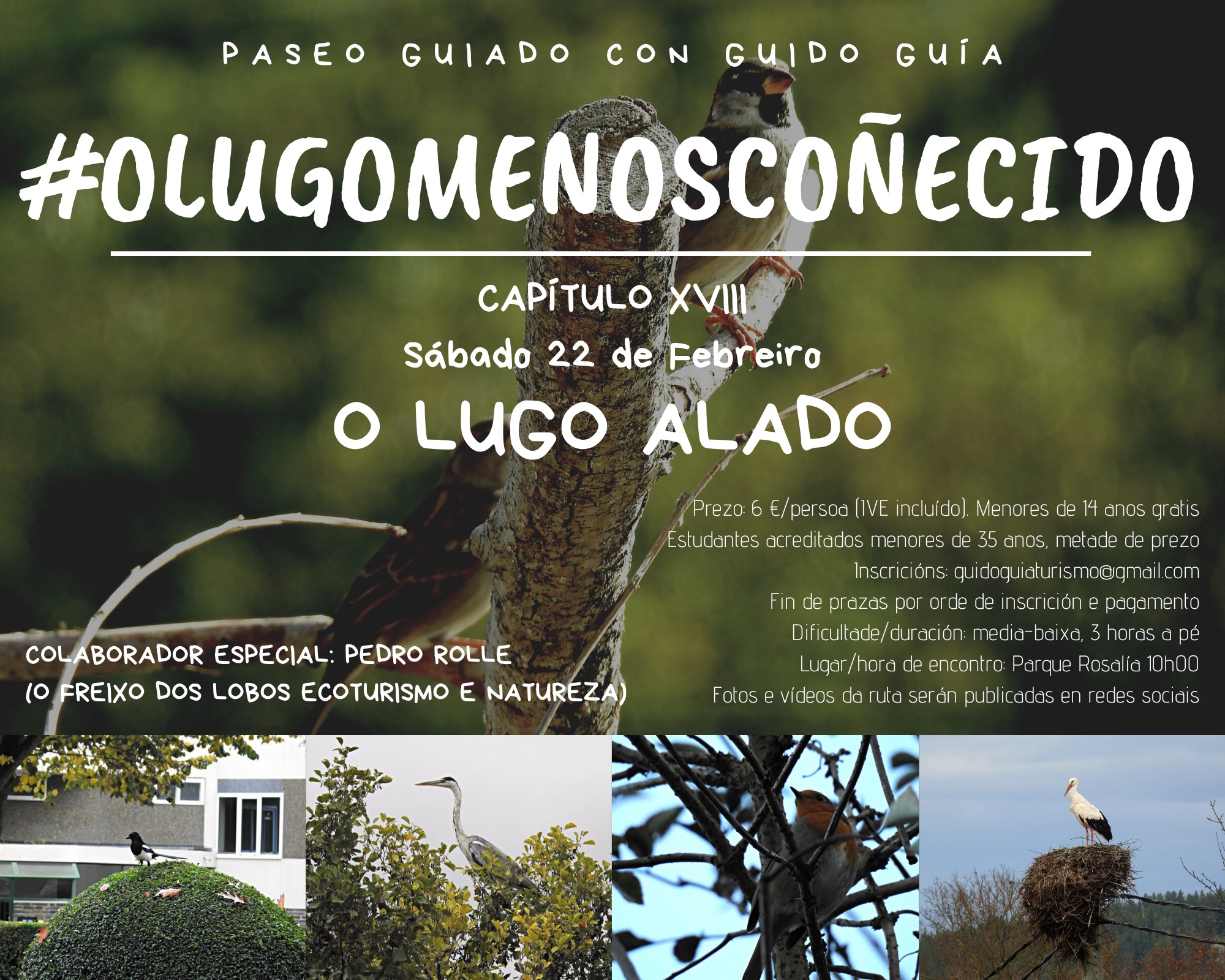 Cartel de Guido Guía: paseo guiado polo Lugo "alado"