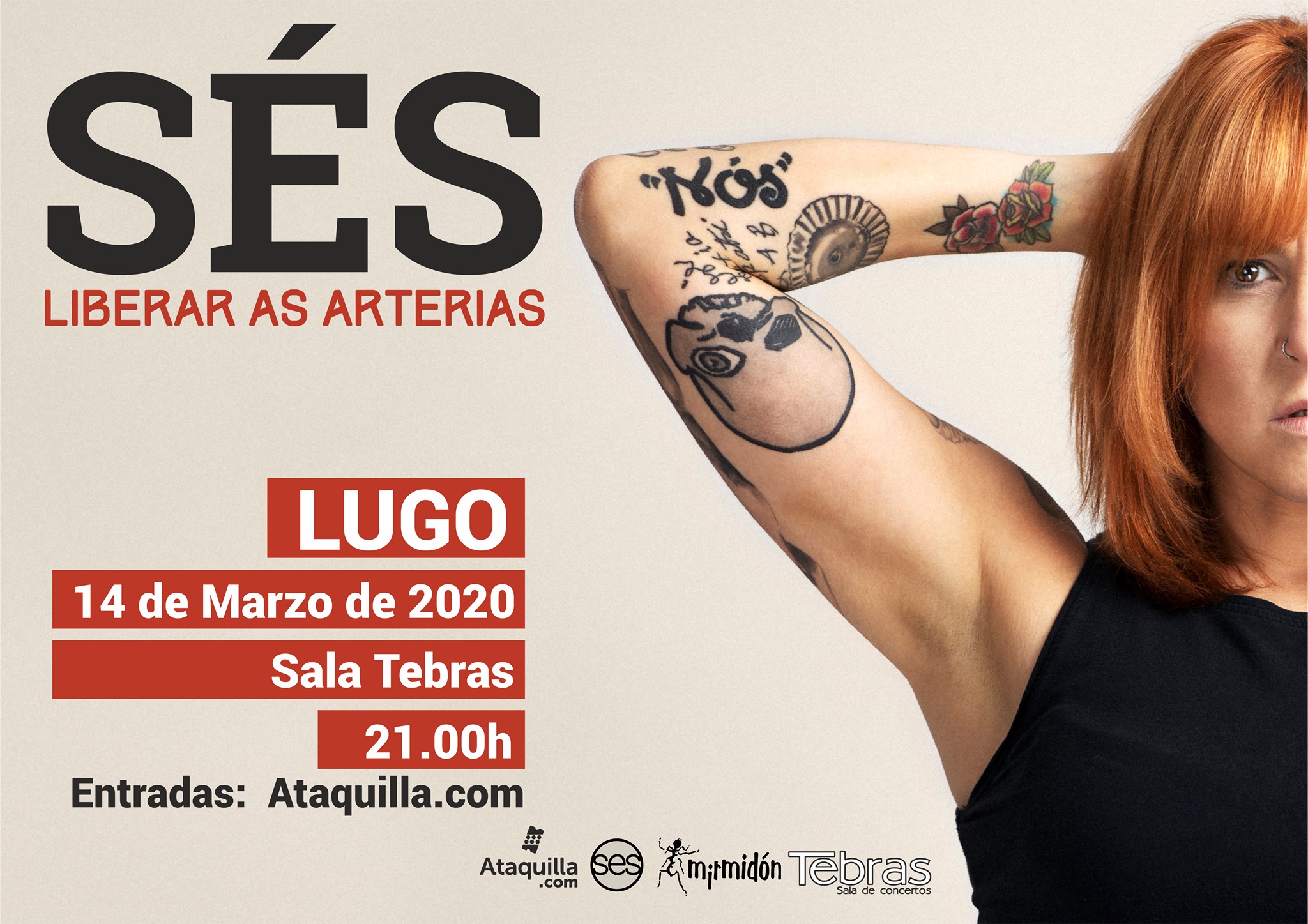 Cartel da Sala Tebras - Concerto de Sés