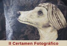 Concurso fotográfico «Kósima Llamas» 2026